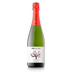 Vidadelsur Brut