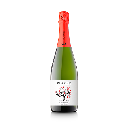 Vidadelsur Brut